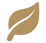 leaf icon bullet
